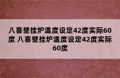 八喜壁挂炉温度设定42度实际60度 八喜壁挂炉温度设定42度实际60度